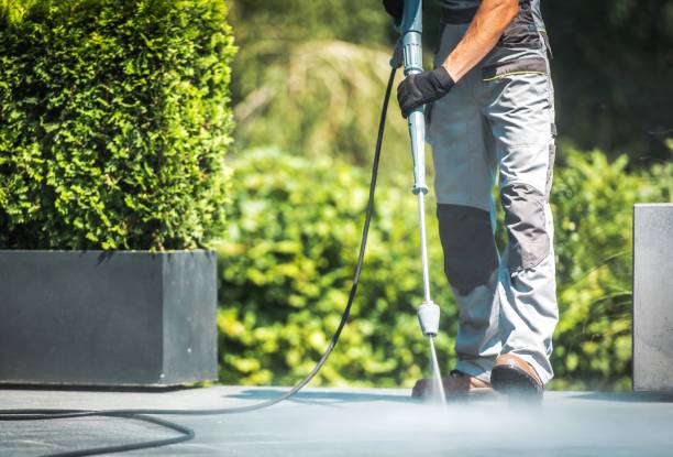 Best Concrete Surface Cleaning in Peosta, IA