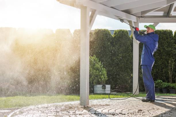 Best Fence Cleaning and Maintenance in Peosta, IA