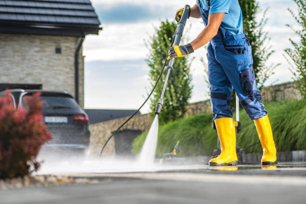 Best Soft Washing for Delicate Surfaces in Peosta, IA